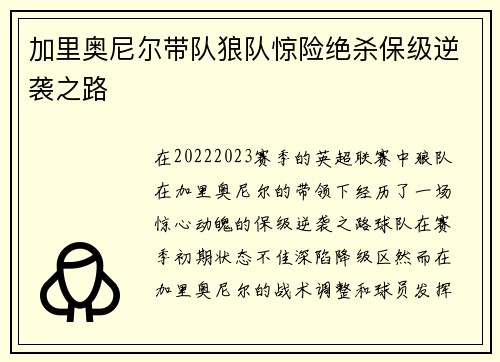 加里奥尼尔带队狼队惊险绝杀保级逆袭之路